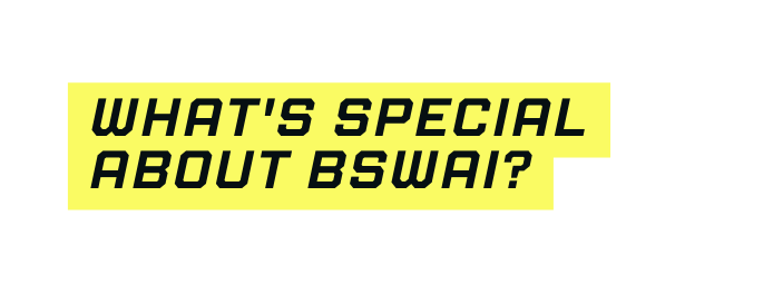 What s special about bswai